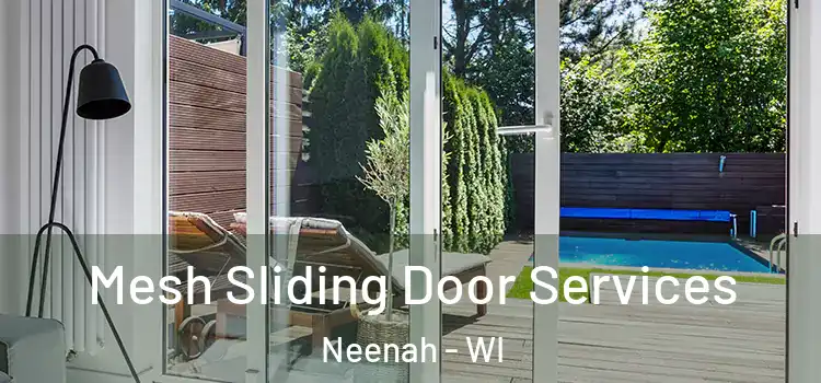 Mesh Sliding Door Services Neenah - WI